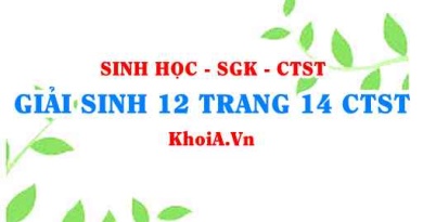 Giải Sinh 12 trang 14 Chân trời Sáng tạo